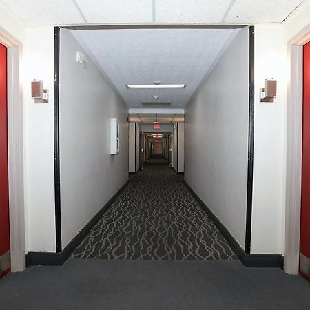 Red Roof Inn & Suites Lexington - Hamburg מראה חיצוני תמונה