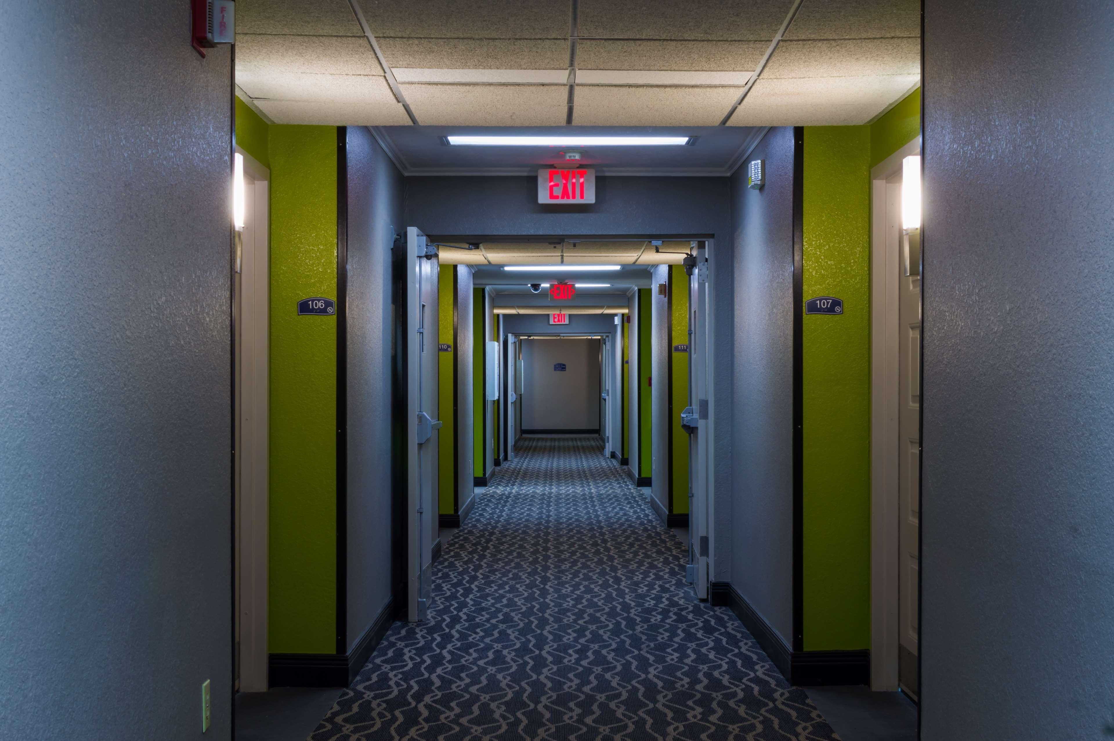 Red Roof Inn & Suites Lexington - Hamburg מראה חיצוני תמונה